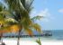 Hotel Don Juan Beach Resort Beach 2